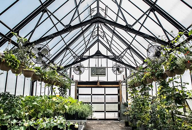 Inside of a community greenhouse